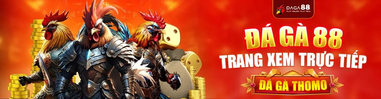 Sân đấu đá gà trực tiếp tại 999bet nhà cái