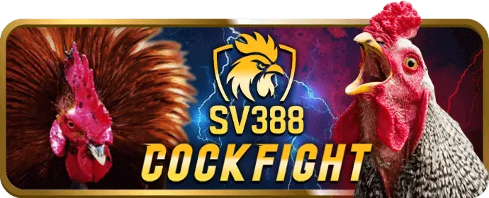 Cá cược quần vợt tại 999bet nhà cái